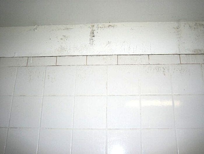 Mold Growing on Bathroom Ceilings