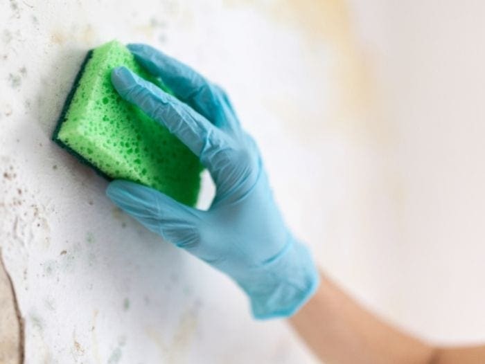 Tea Tree Oil For Mold Removal - How To Step 5 - Scrubbing The Problem Area