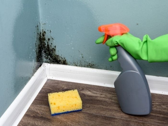 Spraying The Moldy Area