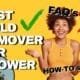 Best Mold Remover For Shower