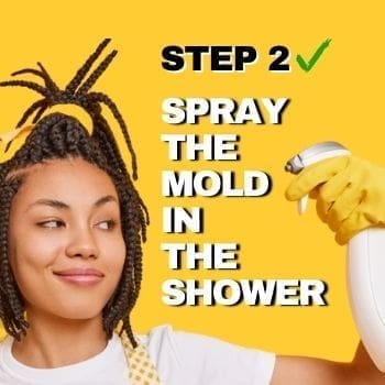 How to Remove Mold From Shower - How To Step 2 - Spray The Moldy Shower