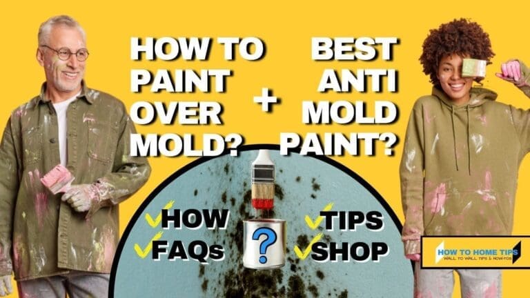 The Best Painting Over Mold Guide – 9 Anti-Mold Paint And Primers