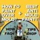The Best Painting Over Mold Guide – 9 Anti-Mold Paint And Primers