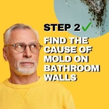 Painting Over Mold - How To Step 2 - Spray The Moldy Shower
