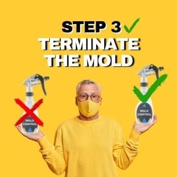 Painting Over Mold - How To Step 3 - Terminate The Mold