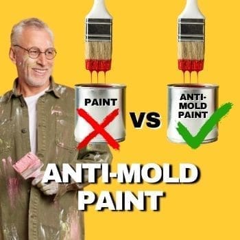 Anti-mold Paint