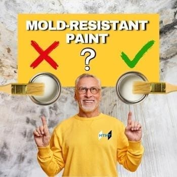 Mold-Resistant Paint