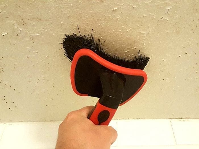 Brush Difficult Moldy Areas
