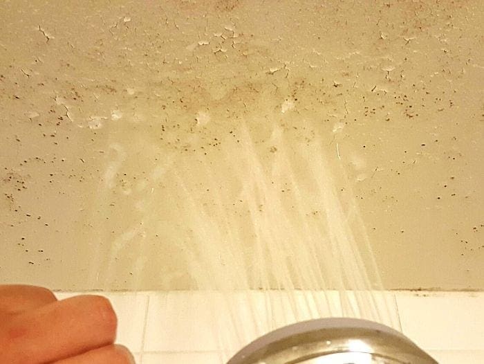 Rinse The Ceiling With Water to Remove Mold And Vinegar