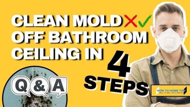 How To Clean Mold Off Bathroom Ceiling in 4 Steps How To Home Tips
