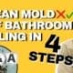How To Clean Mold Off Bathroom Ceiling in 4 Steps How To Home Tips