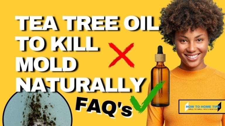 How To Use Tea Tree Essential Oil to Kill Mold Naturally