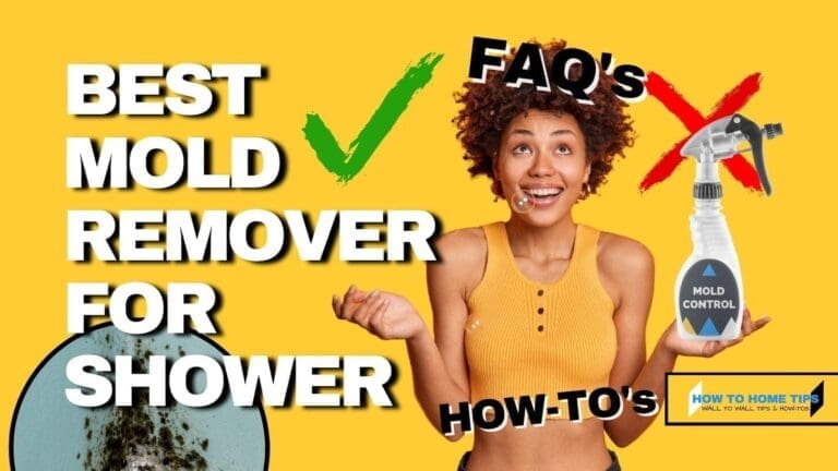 Best Mold Remover For Shower