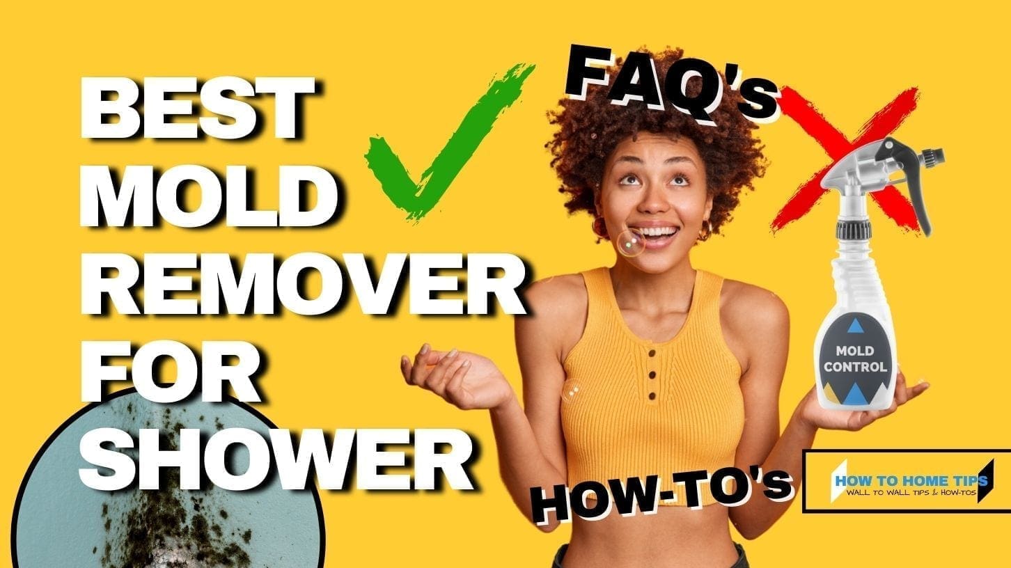 Best Mold Remover For Shower