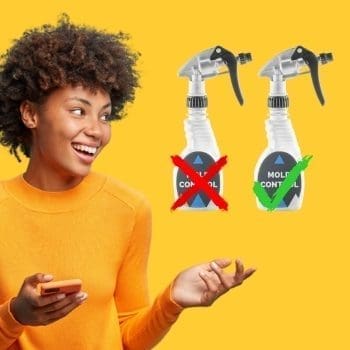 Best Mold Cleaner For Shower - Why Use a Mold Remover For The Shower