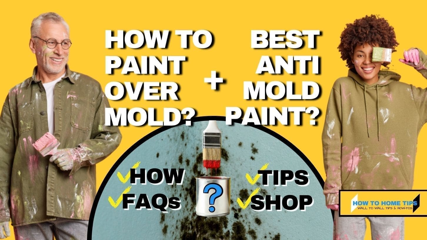 The Best Painting Over Mold Guide – 9 Anti-Mold Paint And Primers