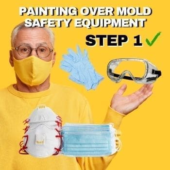 Painting Over Mold - How To Step 1 - Safety Equipment