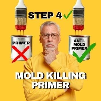 Painting Over Mold - How To Step 4 - Mold Killing Primer