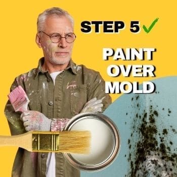 Painting Over Mold - How To Step 5 - Paint Over Mold